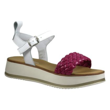 CRISTHALIA - White - fuchsia